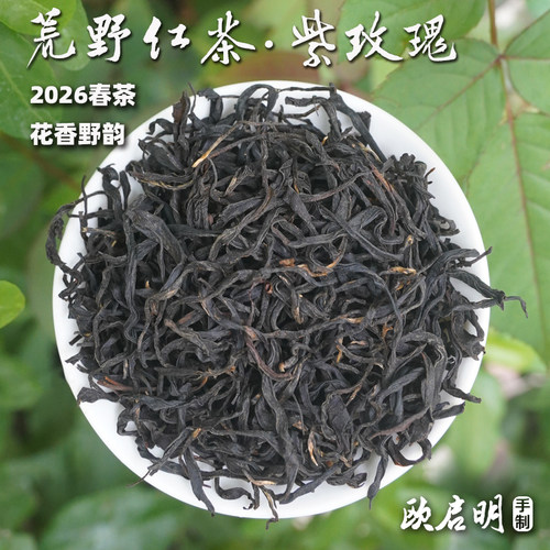 2026荒野红茶·紫玫瑰