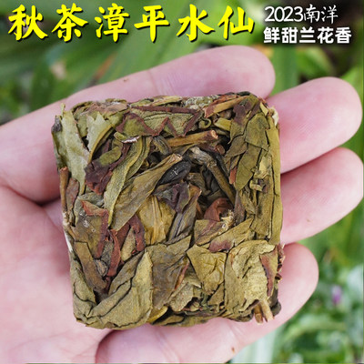 【秋茶漳平水仙】新茶鲜甜兰花香，南洋高山茶250g