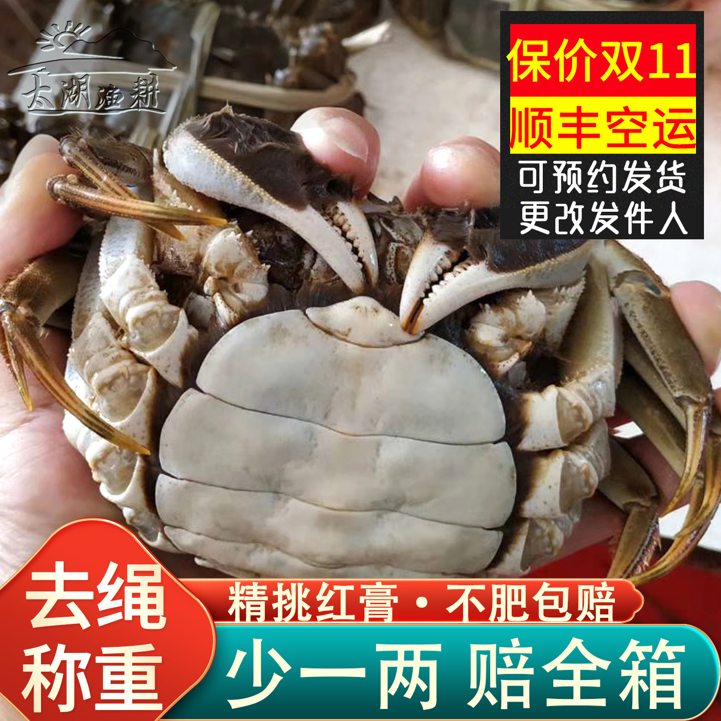 [活蟹包肥包活]轻奢高品质 苏州太湖大闸蟹鲜活现货公母螃蟹礼盒