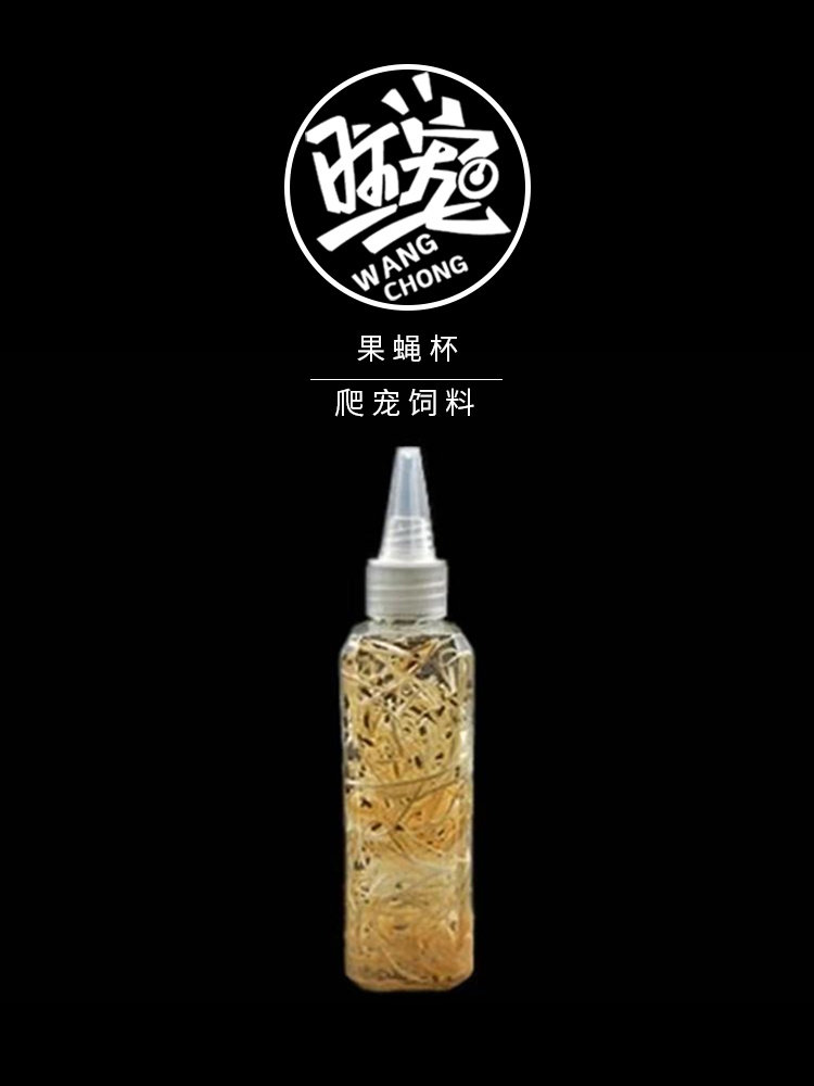 跳蛛螳螂爬宠 食物果蝇杯大果蝇 小果蝇蟋蟀杯樱桃蟑螂面包虫饲料