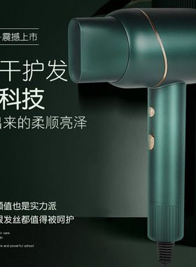 金稻电风吹立式负离子吹风机