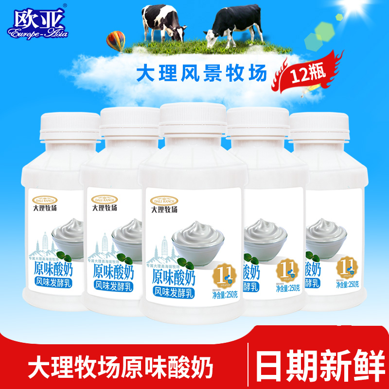 欧亚低温原味酸奶11种活性益生菌