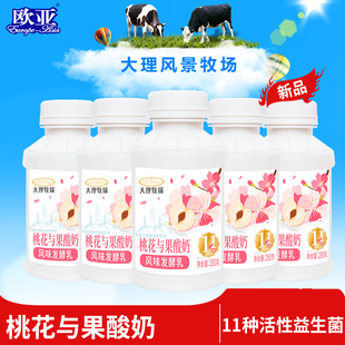 12瓶乳制品 欧亚大理牧场低温桃花与果酸奶250g 日期新鲜