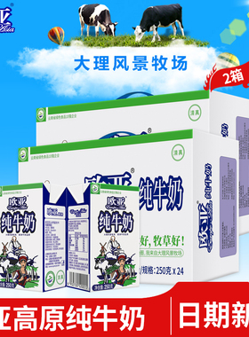 【绿色食品】欧亚高原全脂纯牛奶250g*24盒*2箱早餐大理牛奶整箱