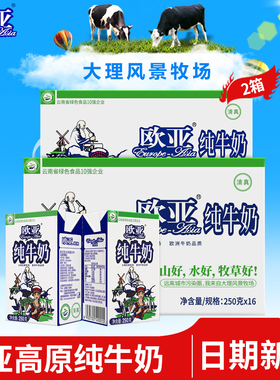 【绿色食品】欧亚高原全脂纯牛奶250g*16盒*2箱早餐大理牛奶整箱