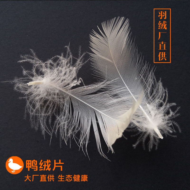 羽绒厂散装白鸭绒羽绒毛片水洗白鸭毛沙发酒店枕芯床垫填充原料在类目 床上用品, 其它中 - 来自Buy2taobao.com提供专业的淘宝代购服务