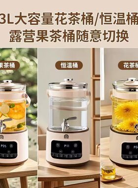 容声煮茶器水龙头养生壶