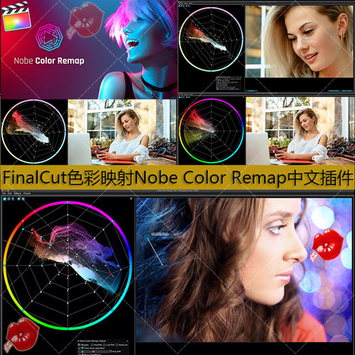 FinalCut色彩映射色调 饱和度 亮度Nobe Color Remap调色中文插件