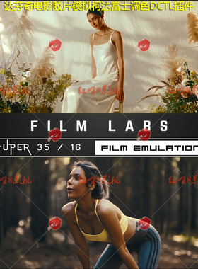 达芬奇DCTL插件柯达富士胶片感调色 Rocket Rooster Film Labs 64