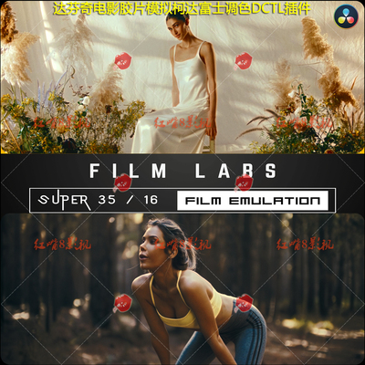 达芬奇DCTL插件柯达富士胶片感调色 Rocket Rooster Film Labs 64