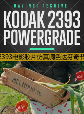 达芬奇电影胶片仿真柯达2393曲线调色节点 KODAK 2393 POWERGRADE