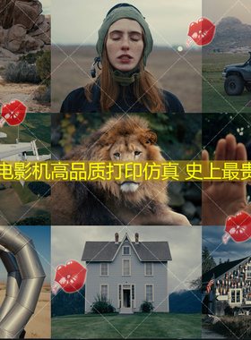 TheBrim ARRI LogC Linny LUT Kit+Print Kit打印仿真史上最贵LUT