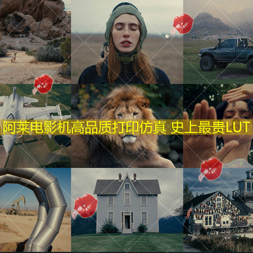 TheBrim ARRI LogC Linny LUT Kit+Print Kit打印仿真史上最贵LUT