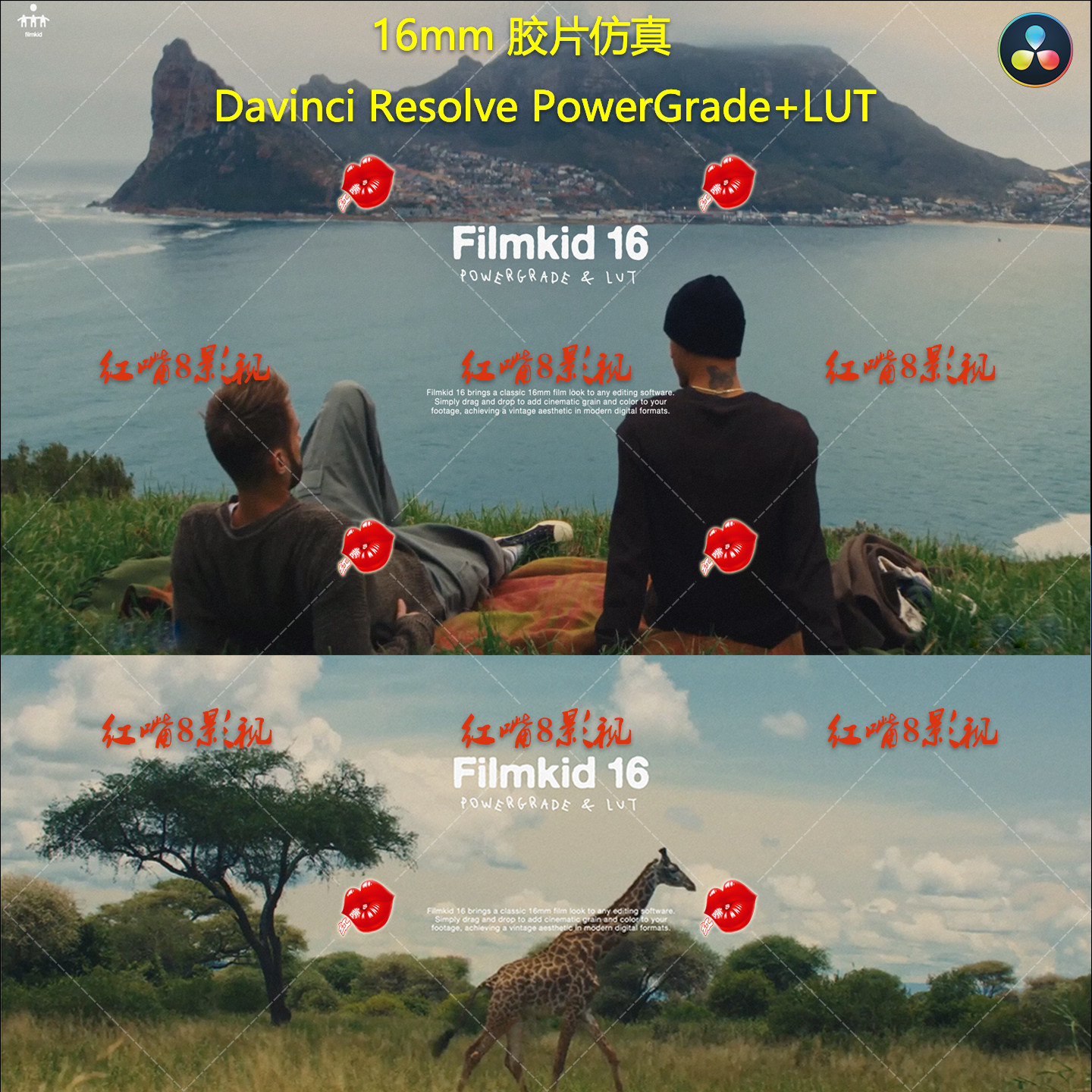 达芬奇16mm复古电影胶片仿真调色Filmkid 16 Powergrade +LUT预设