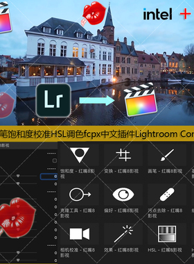fcpx中文插件Lr细节画笔饱和度校准HSL调色Lightroom Controls V2
