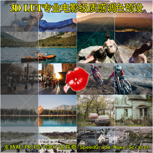 LUT专业电影级质感调色预设支持AE VV等 达芬奇 FCPX
