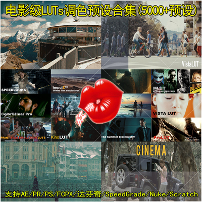 电影级3D LUT调色预设及使用教程支持AE/PR/PS/FCPX/达芬奇/ED/VV