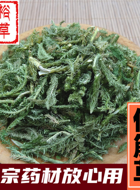 野生伸筋草肿药材泡茶新鲜干货中药材草药泡脚透骨草