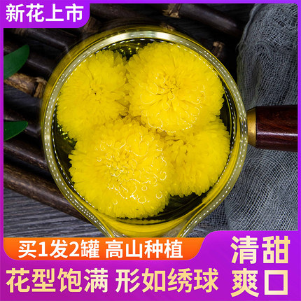 徽州皇菊花茶清热去火茶一朵一杯黄菊胎菊贡菊花茶旗舰店正品