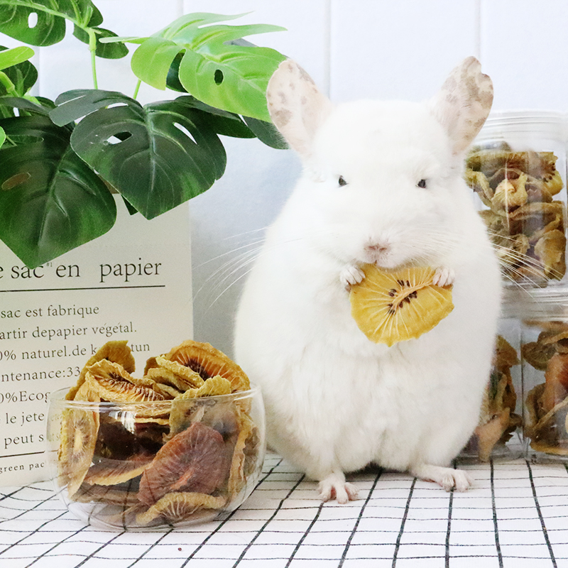 猕猴桃干奇异果干店主自制小宠物龙猫兔兔豚鼠仓鼠零食补充VC30g
