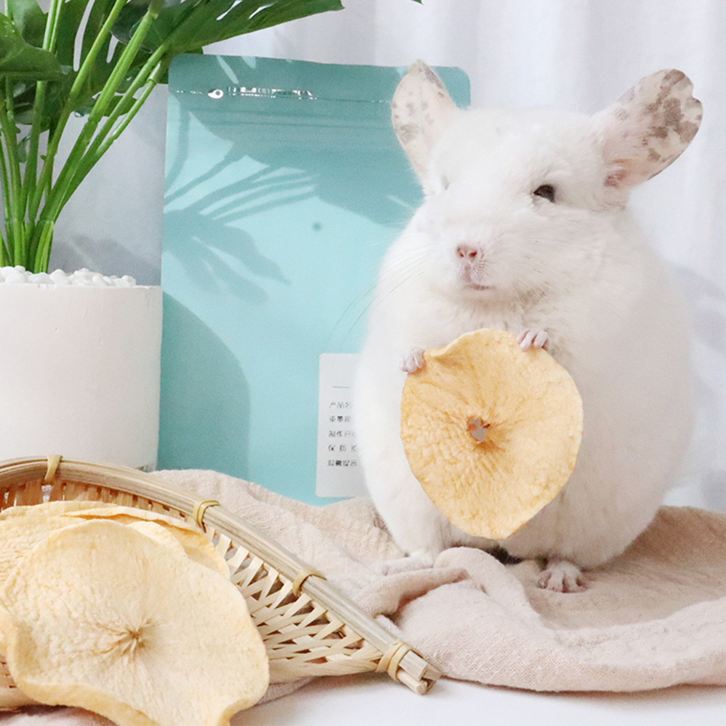 小宠物兔子豚鼠龙猫苹果干苹果片零食自家种植店主手工制作无添加