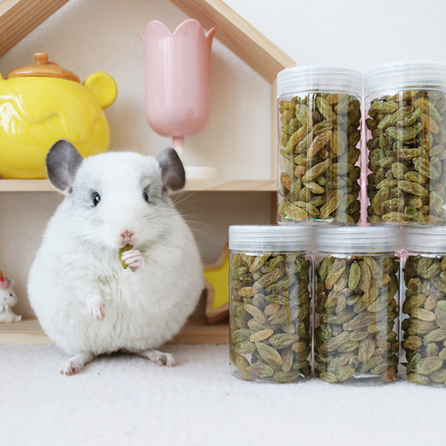 仓鼠自然风干小宠快速补充龙猫