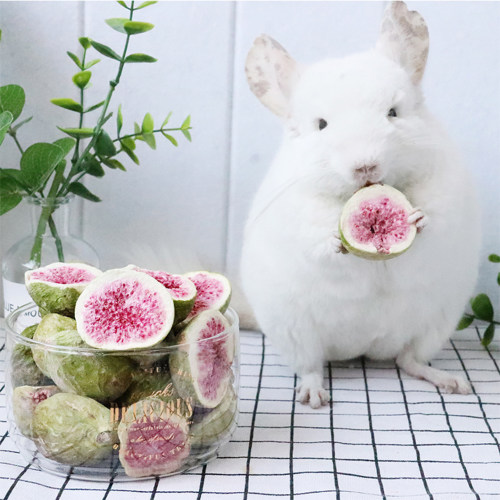 小宠物零食无花果干帮助消化