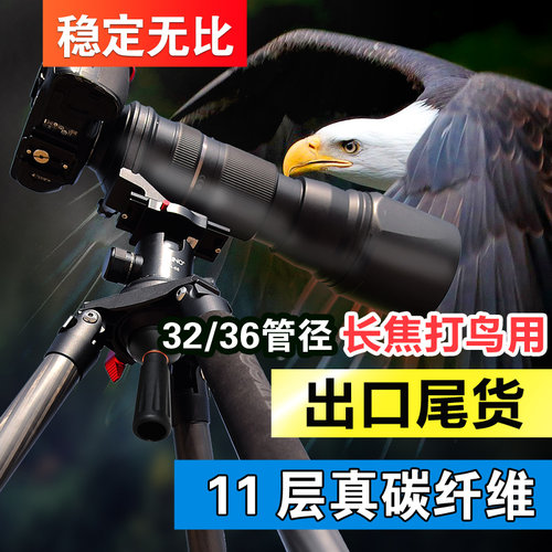 三脚架碳纤长焦打鸟单反相机摄影