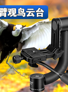 打鸟悬臂云台佳鑫悦长焦大炮摄影摄像单反相机三脚架云台吊臂观鸟