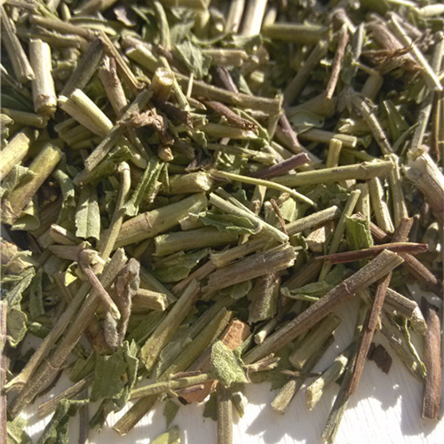 珍珠透骨草新鲜干货中药材另售伸筋草艾叶益智仁红花干姜土元地龙