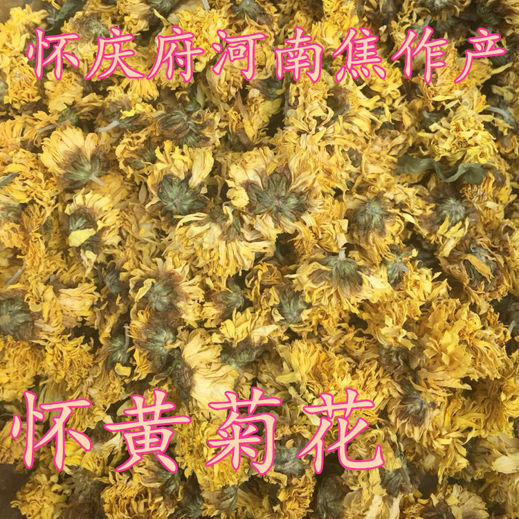 怀菊花 黄菊花茶干无硫500克正品天然河南焦作非特级鲜怀庆府新货