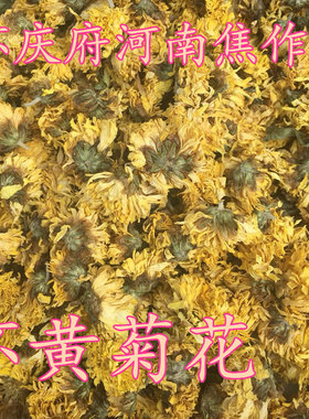 正品河南焦作特产怀菊花无硫天然