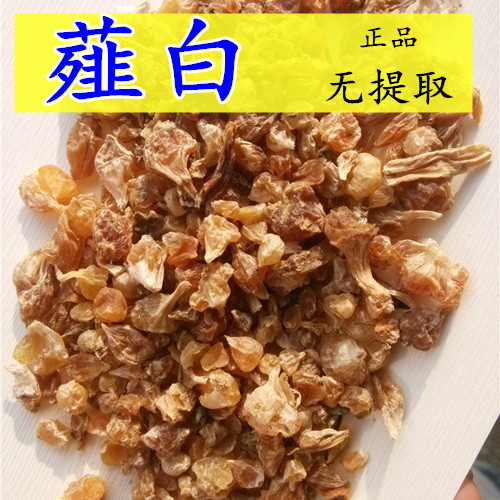 薤白中药材泻白野生非特级新鲜山