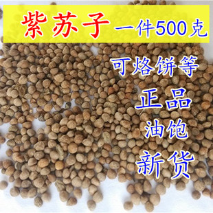 紫苏子 苏麻籽 榨油料烧烤料月饼馅料油饱满可食用喂鸟中药材正品