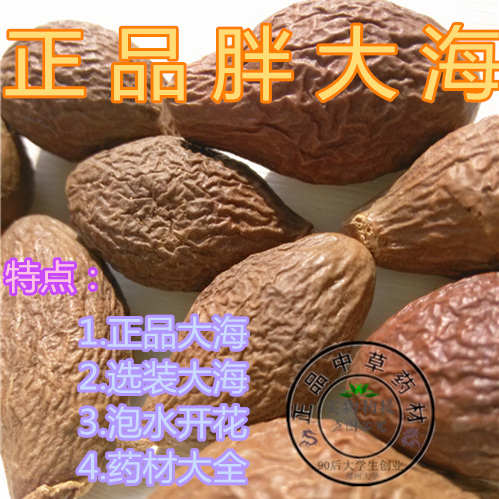 胖大海  茶花草茶50克另售金银花罗汉果甘草玉蝴蝶木蝴蝶 干 无硫