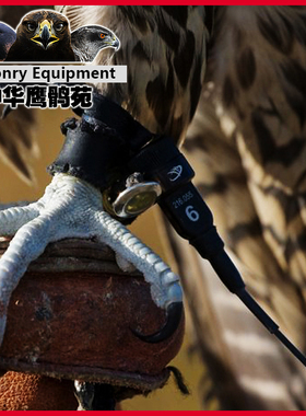 鹰具追踪器/鹰猎马歇尔RT Plus 发射头VHF/鹰具代替铃铛/电子铃铛