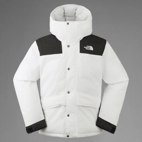 TheNorthFace羽绒服男600蓬刺绣