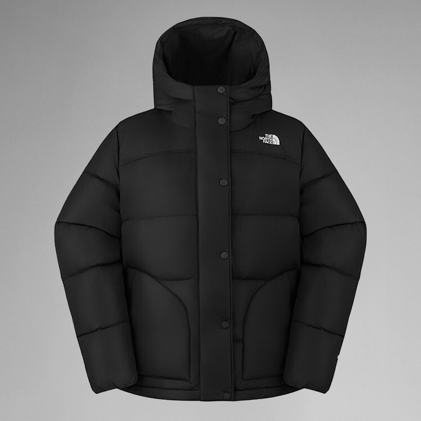 北面羽绒服防泼水550蓬羽绒外套