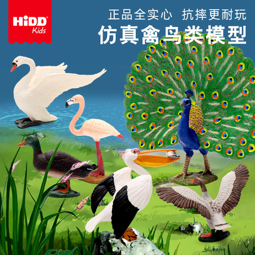 飞禽鸟类套装海鸥实心仿真玩具