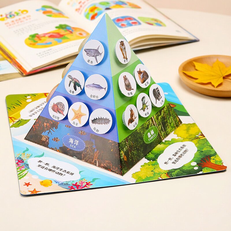 食物链金字塔科技小制作手工diy材料包小学生儿童科学实验生物