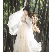 春秋新款 齐腰襦裙 衫 金羽莲馨原创宋制汉服女武侠国风古装 超仙大袖