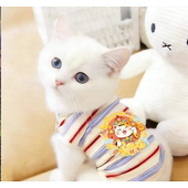 狗衣服比熊泰迪夏天背心 透气条纹宠物薄款 狗狗猫咪夏季 衣服春夏装