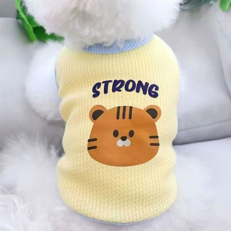 小狗狗猫咪衣服秋夏薄款网红宠物基泰迪博美小型幼犬背心泰迪服装