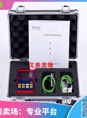 覆盖层测厚仪 漆膜测厚仪里博牌leeb220上海地区测厚仪器