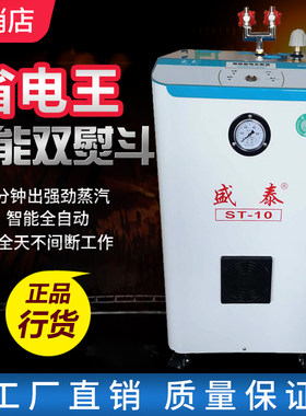 盛泰自动加水压力式锅炉工业熨斗