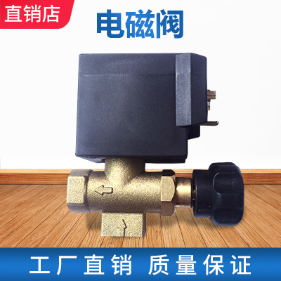 锅炉专用电磁阀原厂原装配件 220V/50HZ电加热蒸汽锅炉熨斗配件