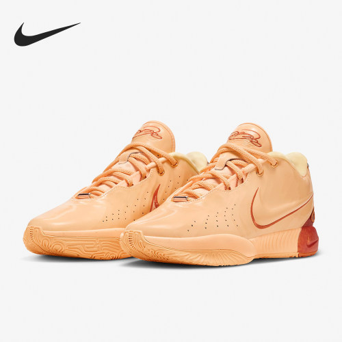 Nike/耐克正品LEBRON XXI EP男子实战训练篮球鞋FV2346-800