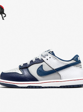 Nike/耐克正品Dunk Low 儿童复古运动休闲低帮板鞋DC9564-001