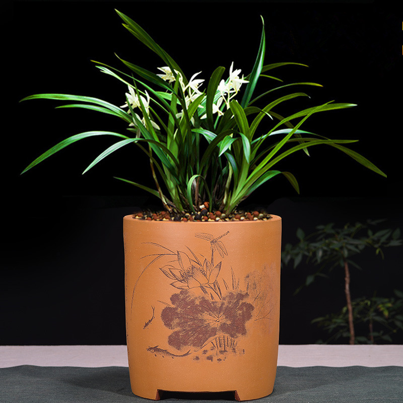 宜兴紫砂花盆 精品 兰花花盆手工圆型 中国风 刻绘蕙兰君子兰包邮