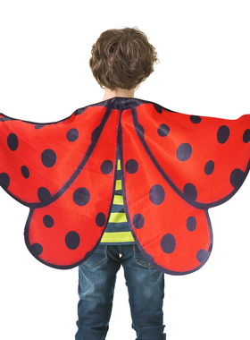 昆虫翅膀蜜蜂瓢虫儿童背饰表演出道具户外玩耍披风幼儿园亲子活动